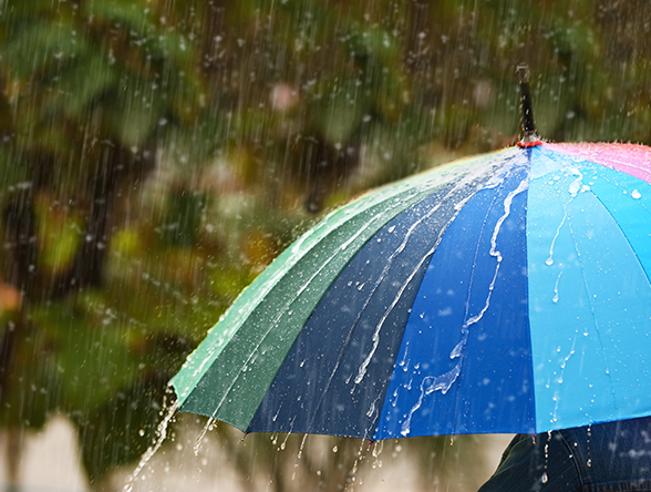Person,With,Bright,Umbrella