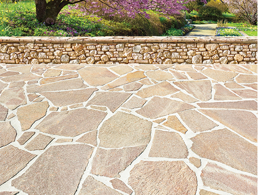 Beautiful,Garden
